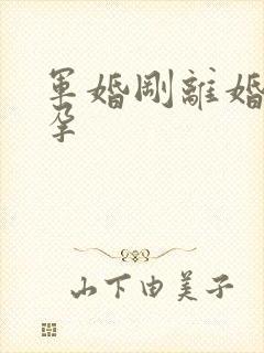 军婚刚离婚就怀孕