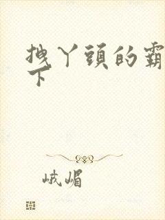 拽丫头的霸道殿下