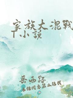 家族大混战TXT小说