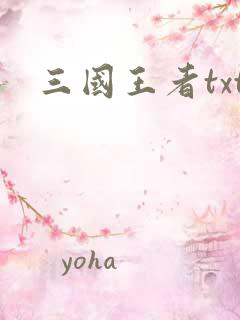 三国王者txt