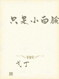 只是小白脸