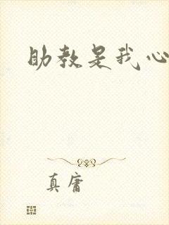 助教是我心尖宠