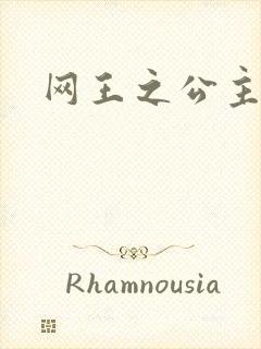 网王之公主驾到