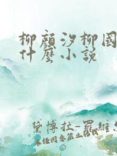 柳颜汐柳国安是什么小说