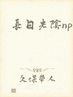 长日光阴np