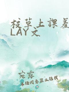 校草上课羞耻PLAY文