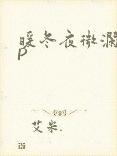 暖冬夜微澜VIP