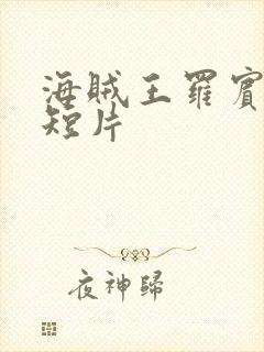 海贼王罗宾被h短片