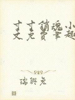 寸寸销魂小说全文免费笔趣阁