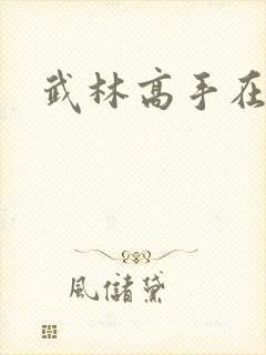 武林高手在异界