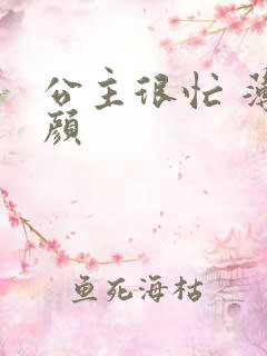 公主很忙 薄慕颜