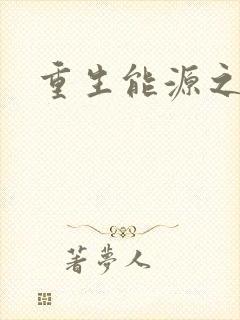 重生能源之王