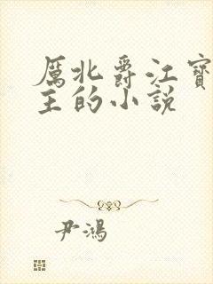 厉北爵江宝宝男主的小说