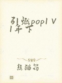 引燃pop1∨1年下