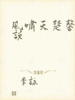 风啸天楚馨月小说