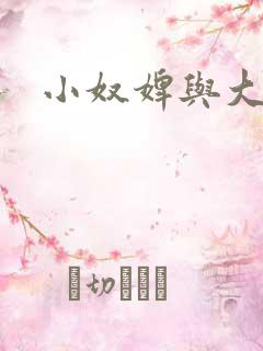 小奴婢与大少爷