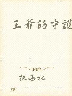 王爷的守护男妃