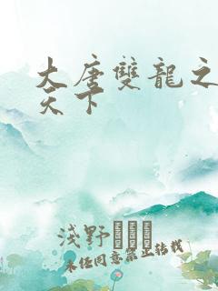 大唐双龙之无敌天下