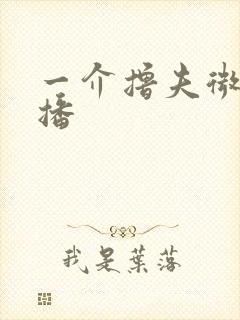 一介撸夫微博直播