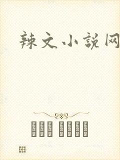 辣文小说网