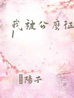 我被公么征服了1