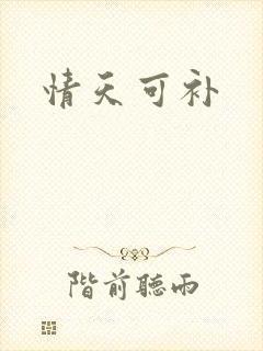 情天可补