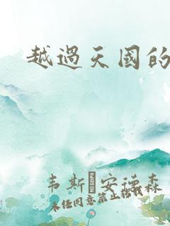 越过天国的国境