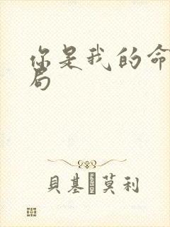 你是我的命运结局