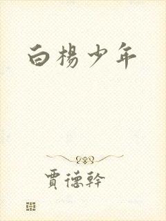 白杨少年