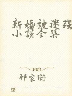 新婚被迷强系列小说全集