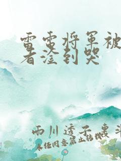 雷电将军被旅行者淦到哭