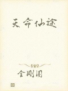 天命仙途