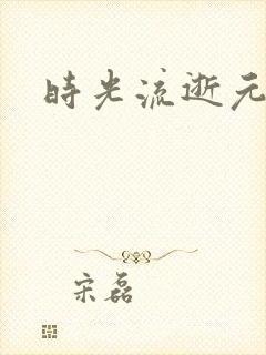 时光流逝元龙