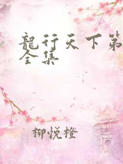 龙行天下第二部全集