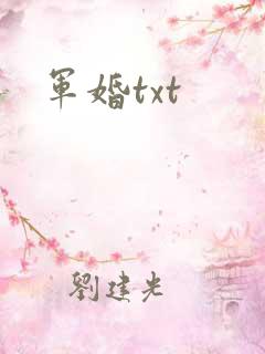 军婚txt