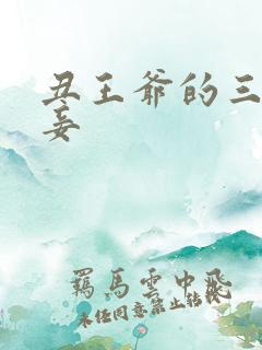 丑王爷的三妻四妾