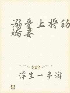 溺爱上将的宝贝娇妻