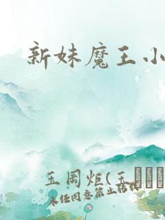 新妹魔王小说