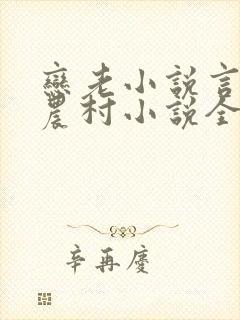 恋老小说言情网农村小说全文阅读