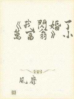 《我闪婚了个亿万富翁》小说