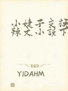 小婕子交换系列辣文小说下载