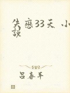 失恋33天 小说