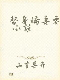 替身娇妻要离婚 小说