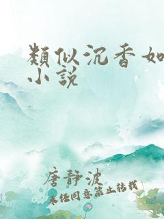 类似沉香如屑的小说