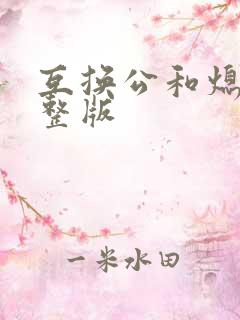 互换公和熄1完整版