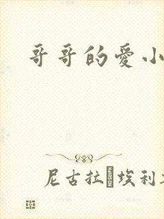 哥哥的爱小说
