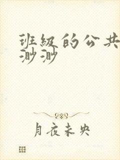 班级的公共玩具渺渺