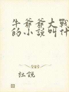 牛爷爷大战小丽的小说叫什么