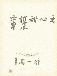 守护甜心之暗夜星辰