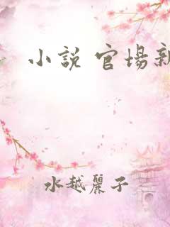 小说 官场新贵